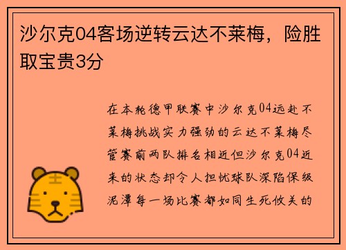 沙尔克04客场逆转云达不莱梅，险胜取宝贵3分