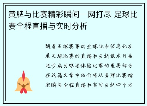 黄牌与比赛精彩瞬间一网打尽 足球比赛全程直播与实时分析